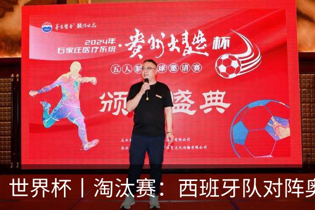 世界杯丨淘汰赛：西班牙队对阵奥地利队