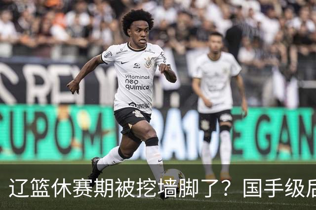 辽篮休赛期被挖墙脚了？国手级后卫恐被交易：变相逼着赵继伟走人